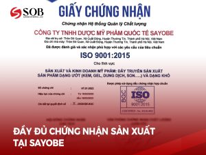 Read more about the article Đầy đủ giấy chứng nhận của Nhà máy sản xuất Dược mỹ phẩm Sayobe