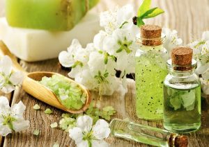 Read more about the article MỸ PHẨM ORGANIC – THỊ TRƯỜNG KINH DOANH ĐẦY TIỀM NĂNG