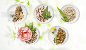 Read more about the article Mỹ phẩm đông y đang đốn tim phái đẹp