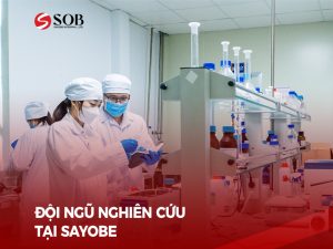 Read more about the article Đội ngũ nhân viên