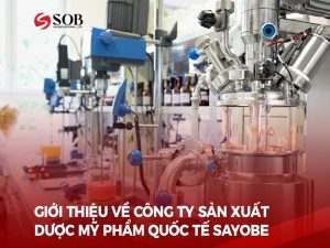 Read more about the article Về Sayobe