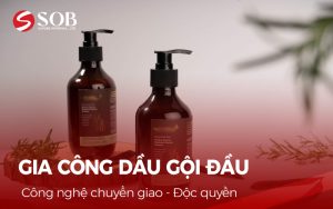 Read more about the article Nhận gia công dầu gội công thức độc quyền – Công nghệ hiện đại